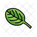 Spinach Leaf Icon