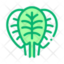 Spinach Leaves Protein Icon