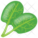 Spinach Leaves Green Icon
