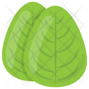 Spinach Leaves Green Icon