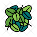 Spinach Pile Icon