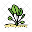Spinach Plant Icon