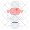 Spinal Injury Icon