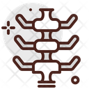 Spine  Icon