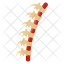 Spine Icon