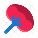 Spleen Icon
