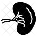 Spleen Icon