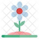 Flower Spring Flower Nature Icon