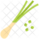 Spring Onion Icon