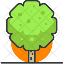 Spring Tree Icon