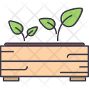 Sprout Seedling Box Icon