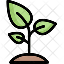 Sprout Icon