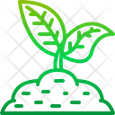 Sprout Tree Nature Icon