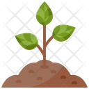 Sprout Tree Joshua Tree Icon