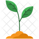 Sprout Plant Ecology Icon