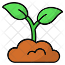 Sprout Growing Plant Seed Icon