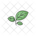 Sprout Green Icon