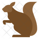 Animal Rodent Sciurus Icon
