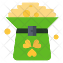 St Patrick Coin Hat Icon