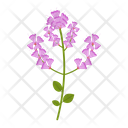 Wildflowers Flowers Plant Icon