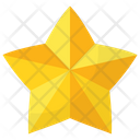 Star Achievement Game Icon