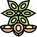Star Anise Ingredient Icon