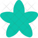 Star  Icon