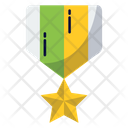 Star Badge Badge Medal Of Honour Icon
