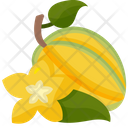 Star Fruit Icon
