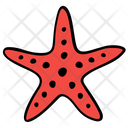 Starfish Seafood Echinoderm Icon