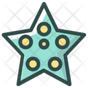 Starfish Sea Ocean Icon