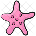 Starfish Asteroid Sea Star Icon