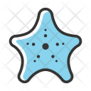 Starfish Star Fish Icon