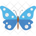 Starry Night Cracker Butterfly Icon
