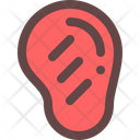 Steak Meat Beef Icon