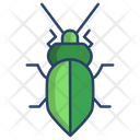 Stink Bug Icon
