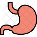 Stomach Body Organ Icon