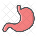 Stomach Human Organ Icon