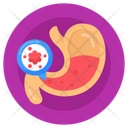 Stomach Cancer Stomach Disorder Stomach Disease Icon
