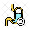 Stomach Transplant Color Icon