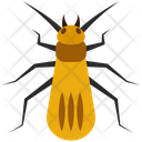 Stonefly Icon