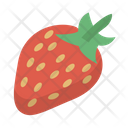 Berry Fruit Healthy Icon
