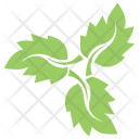 Strawberry Leaves Icon
