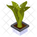 Strelitzia Plant Icon