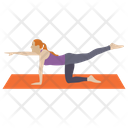 Stretch Muscle Exercise Aerobics Stretch Muscle Icon