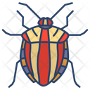 Striped Shield Bug Icon