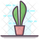 Succulent Cactus Plantation Icon