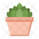 Succulent Cactus Plant Icon