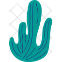 Succulent Cactus Plant Cactus Icon