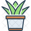 Succulent Plant Icon